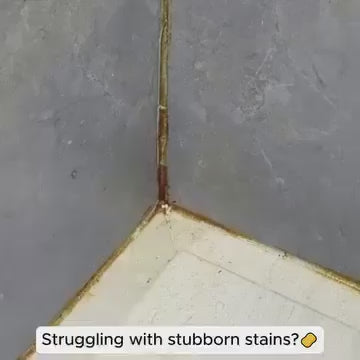 Mold Remover Spray 60ml