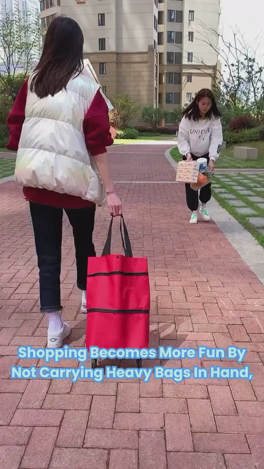 Trolly Bag Assorted Colors